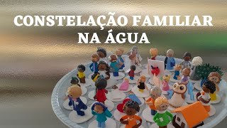 Constelação Familiar na Água  Demonstração constelaçãofamiliar terapiasalternativas holistic [upl. by Erej623]