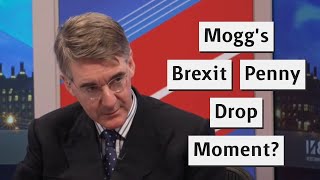 Jacob ReesMogg Now Understands The Problem With Brexit [upl. by Atsirak805]