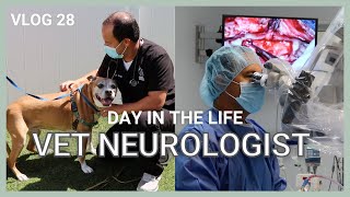 3 Main Causes of Seizures in Dogs  Vlog 28 [upl. by Corson]