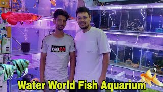 New Exotic Fishes For Sale At Water World Fish Aquarium Delhi new [upl. by Iand]