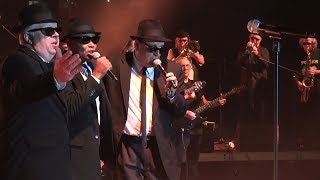 The Original Blues Brothers Band quotSweet home Chicagoquot  Wrocław 2014 [upl. by Adiaj]