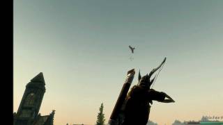 Skyrim Bug immortal bird [upl. by Lig]