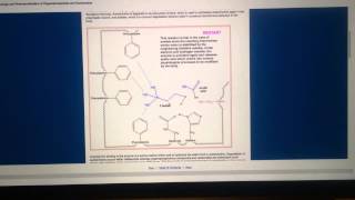 Biochemistry of OrganicPhosphorous Nerve Agents [upl. by Haig]