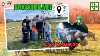 GEOCACHEN MET TEAM ZILVERDAEL BIJ DE LAMMETJES HEBBES 099 [upl. by Enej]