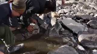 Kashmir Great Lakes Trek  Vishansar Trout Fishing by Hand [upl. by Olethea]