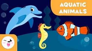 Aquatic Animals for kids  Vocabulary for kids [upl. by Wilmott393]