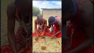 Mastering the Art of Masai Fire Making  Quick YouTube Short  Africa Tribe [upl. by Busey]