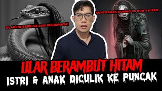 LAH LOK KOK UJUNGNYA JADI BEGINI EH ADA ULAR BERAMBUT  TC [upl. by Doty]