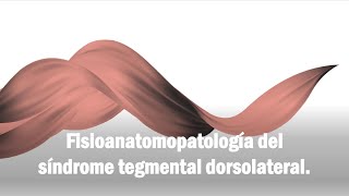 Fisioanatopatología  Sx pontino tegmental dorsolateral [upl. by Simone]