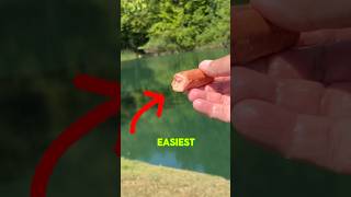 The EASIEST Way To Catch Catfish EVERY Time shorts fishing [upl. by Yeo262]