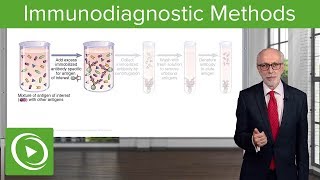 Immunodiagnostic Methods – Immunology  Lecturio [upl. by Nallek]