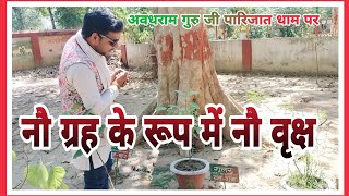 अवधराम गुरु जी पारिजात धाम परAwadhram guru on Parijat dham [upl. by Adnanref414]