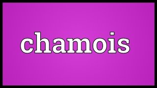 Chamois Meaning [upl. by Sirromaj]