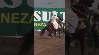 Sultania Awan Club Rider horseriding nezabazi pakistanihorses horse [upl. by Trilbie]