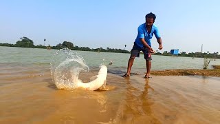 Unbelievable Catching Many 15 Kg Tilapia Fishes by Sitting in Big Pipe  Best Fishing Ever Seen [upl. by Eemak]