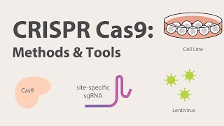 2 CRISPR Cas9  Methods and Tools [upl. by Whitebook]