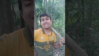 কুত্তার বাচ্চা ফুটফুটে সুন্দর 😂🤣🤣🤣🤣🤣🤣🤣 funny comedy reels tiktok viral tjtapu shorts [upl. by Zina]