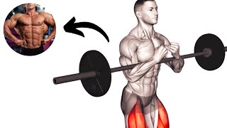 The 5 Best Biceps Exercises Barbell Only [upl. by Arualana13]