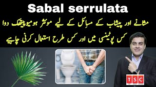 Sabal serrulata Q  Sabal serrulata Mother tincture  Sabal serrulata uses  Sabal serrulata benefit [upl. by Joyann]