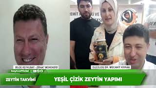 YEŞİL ÇİZİK ZEYTİN YAPIMI  ZEYTİN TAKVİMİ [upl. by Eliam]