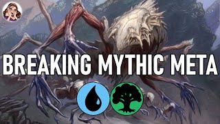 NEW BUSTED ARTIFACT COUNTER BUILD  Standard [upl. by Arlie]