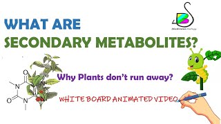 SECONDARY METABOLITE  Plant Physiology  CSIR UGCNET Life Science  GATE  ICMR Exams [upl. by Ariada9]