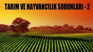 TÜRKİYEDE TARIM VE HAYVANCILIK  BÖLÜM 2 [upl. by Plato]