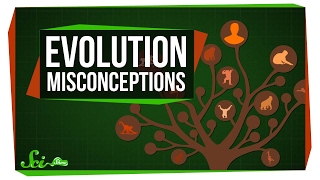 Common Misconceptions About Evolution [upl. by Alain857]