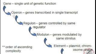 Prokaryotic genomic organization [upl. by Nilatak]