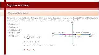 Vectores Colineales  Física [upl. by Keel]