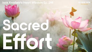 Jack Kornfield on Sacred Effort  Heart Wisdom Ep 248 [upl. by Negriv812]