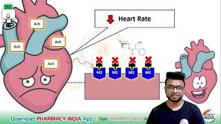 MECHANISM ACTION OF ATROPINE  PHARMACOLOGY [upl. by Otsedom]