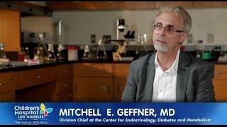 Mitchell Geffner MD Division Chief Endocrinology and Metabolism [upl. by Kanor804]