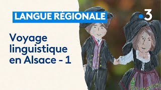 Connaissezvous tous les accents et prononciations de lalsacien  Voyage linguistique 1 [upl. by Ellenehc]