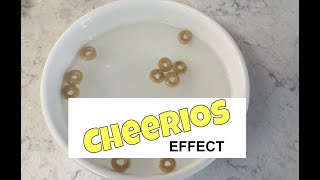 The Cheerios Effect [upl. by Ridglea]