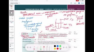 vestibular 8  glossopharyngeal 9  vagus 10 hypoglossal Cranial Nerves and function neurology 52 [upl. by Nalro]