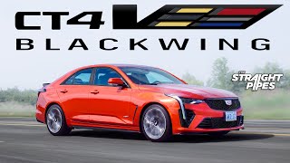 BUY THIS CAR NOW 2023 Cadillac CT4V Blackwing Review [upl. by Ativahs78]