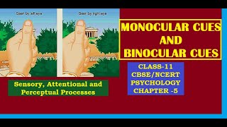 CLASS11 PSYCHOLOGY CHAPTER5 Monocular Cues and Binocular Cues cbse ncert class11psychology [upl. by Westleigh]