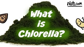 Health Benefits of Chlorella  Easy to Use Superfood [upl. by Eetsirk352]