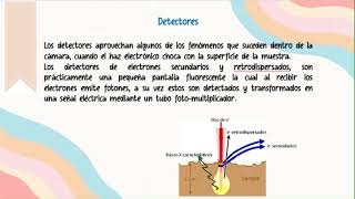 MICROSCOPIA ELECTRONICA DE BARRIDO SEM [upl. by Bevis]