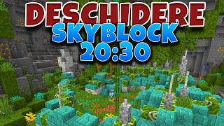 🔴Deschidere SKYBLOCK  Mai bun ca NICIODATA [upl. by Lauraine]