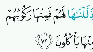 Surat Yasin ayat 72 [upl. by Caresa207]