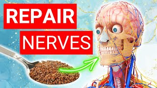 Top 4 Foods to Repair Your Nerves  Nerve Strengthening Foods [upl. by Nosahc]