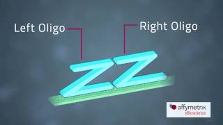 eBioscience PrimeFlow RNA Assay [upl. by Alyda288]