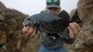 Fishing for Rockfish on the California Coast [upl. by Ancalin460]