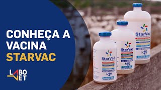 Conheça a Vacina STARVAC  Labovet Produtos Veterinários [upl. by Oemor680]