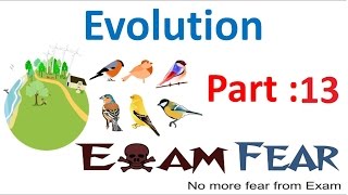 Biology Evolution part 13 Speciation class 12 XII [upl. by Ezar]