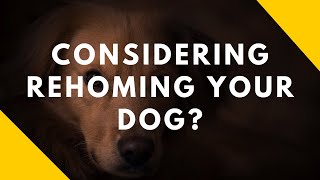 Considering Rehoming Your Dog [upl. by Nylzaj]