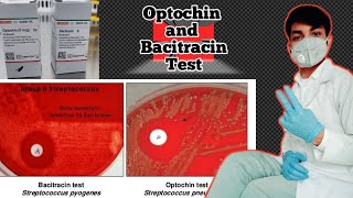 Optochin and Bacitracin test  Optochin susceptibility test  optochin sensitivity test procedure [upl. by Ruggiero]