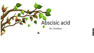 Abscisic acid Discovery physiological role and some important points [upl. by Gardas454]